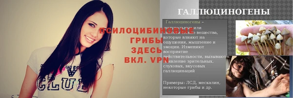 бошки Баксан
