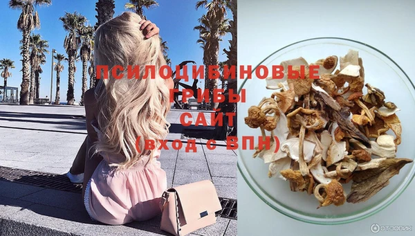 бошки Баксан