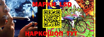 прущие крисы Малгобек
