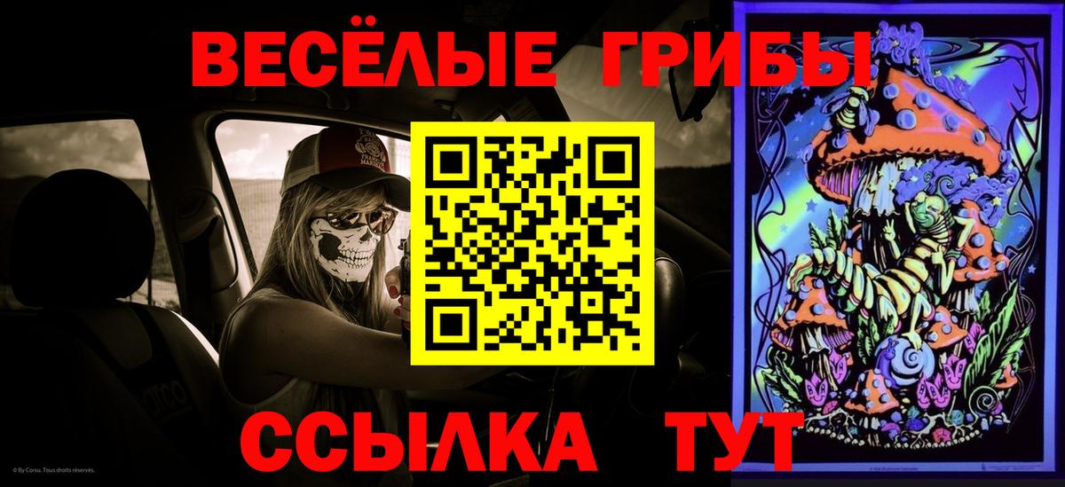 Псилоцибиновые грибы мицелий Губаха