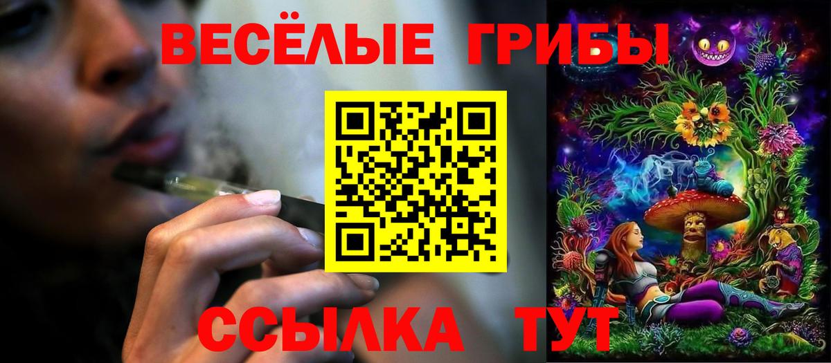 Губаха  купить  цена  Вход с VPN  Псилоцибиновые грибы прущие грибы 